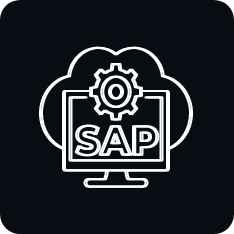 SAP-Consulting